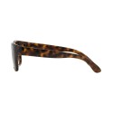 Unisex Lightweight Sunglasses